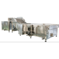 sardine canning process tools and equipment